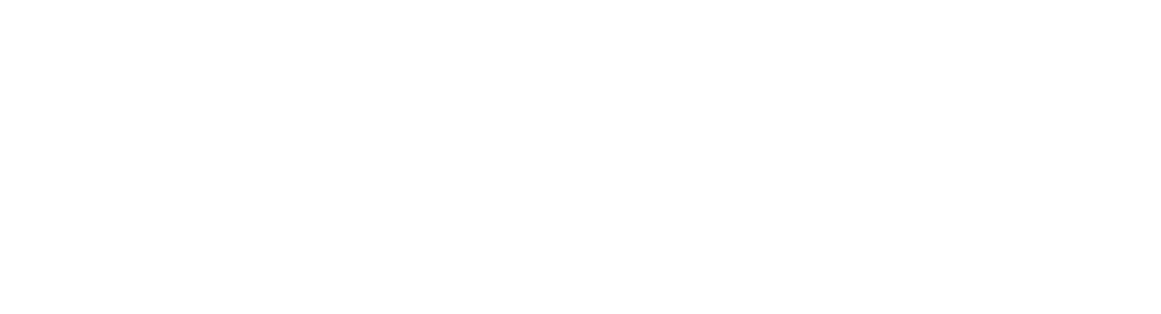Platek_logo_white.png