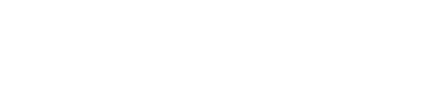 QPro_logo (белый, сайт).png