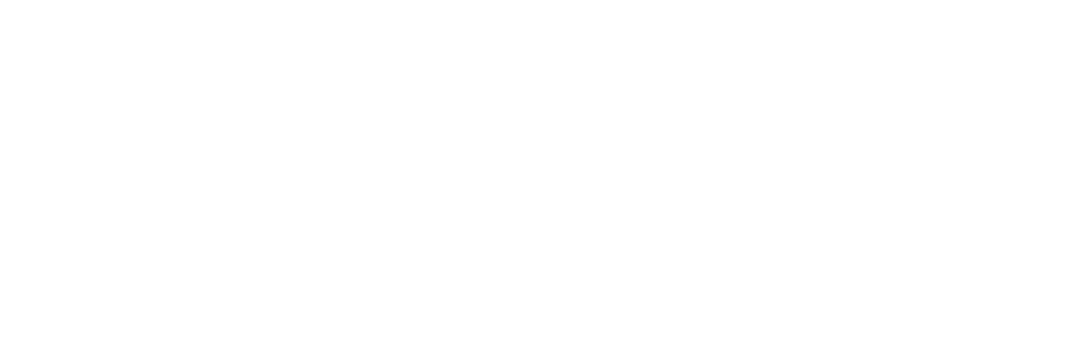 logo (булый).png