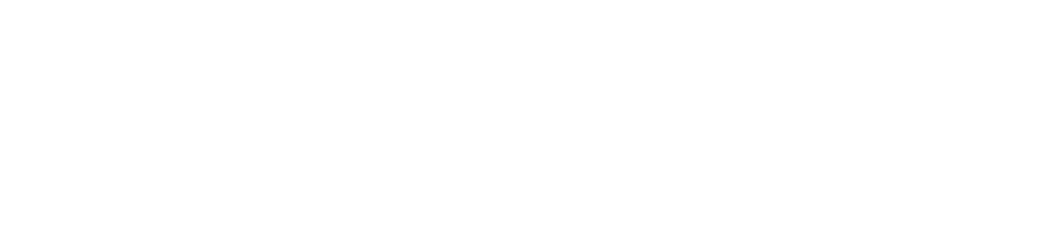 logo nero (сайт, белый).png